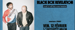 BLACK BOX REVELATION